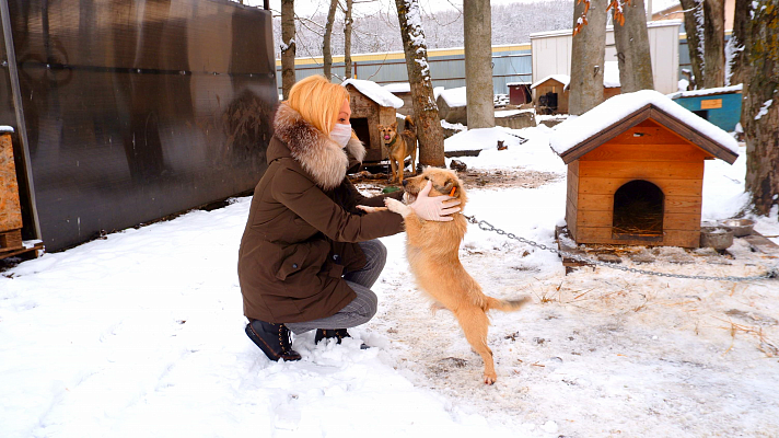 Ольга Тимофеева привезла корм в ставропольский приют для животных